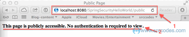 deploy web application and access public page