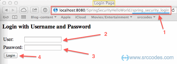 spring_security_login