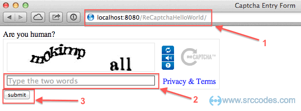 reCAPTCHA widget
